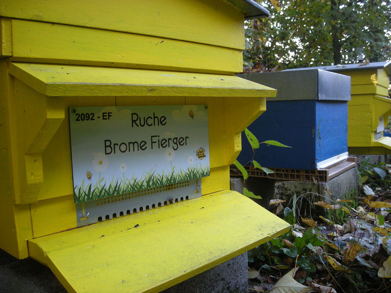 La ruche Brome Fierger